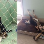 photo_2025-10-17_13-17-48