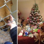 photo_2025-10-17_13-17-52