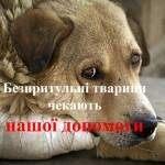 photo_2025-10-17_13-17-55