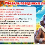 photo_2025-10-28_14-24-07