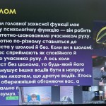 photo_2025-11-29_23-02-57