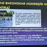 photo_2025-11-29_23-03-45