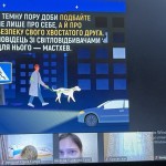 photo_2025-11-29_23-06-13