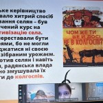 photo_2025-11-29_23-07-50