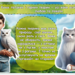 Знімок екрана 2025-09-30 140105