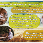 Знімок екрана 2025-10-14 135336