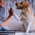 зображення_viber_2025-10-02_12-34-03-210