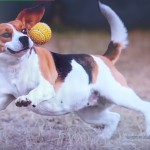 зображення_viber_2025-10-02_12-34-37-034