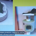 зображення_viber_2025-10-02_12-35-54-846