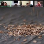 зображення_viber_2025-11-19_17-07-32-337