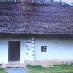 зображення_viber_2026-03-03_11-52-49-243