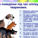 зображення_viber_2026-03-20_12-19-18-825