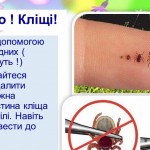 зображення_viber_2026-03-20_12-19-32-337