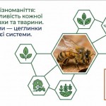 photo_2026-04-17_19-16-37