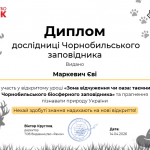 Маркевич