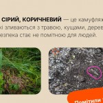 зображення_viber_2026-04-07_20-49-26-930