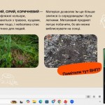 зображення_viber_2026-04-07_20-55-34-880