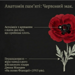 image (2)