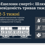 image (5)