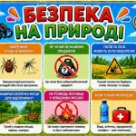 IMG-520391eb7618d12684b9bcbddb420d0a-V