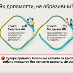 image (13)