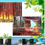 зображення_viber_2026-06-07_19-27-44-646