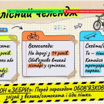 image (4)