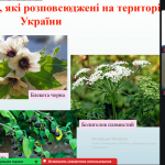 Знімок екрана (137)