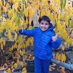 зображення_viber_2026-10-20_15-41-54-753
