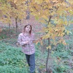 зображення_viber_2026-10-20_15-43-15-258