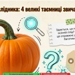 зображення_viber_2026-10-23_13-09-21-630