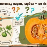 зображення_viber_2026-10-23_13-09-22-104
